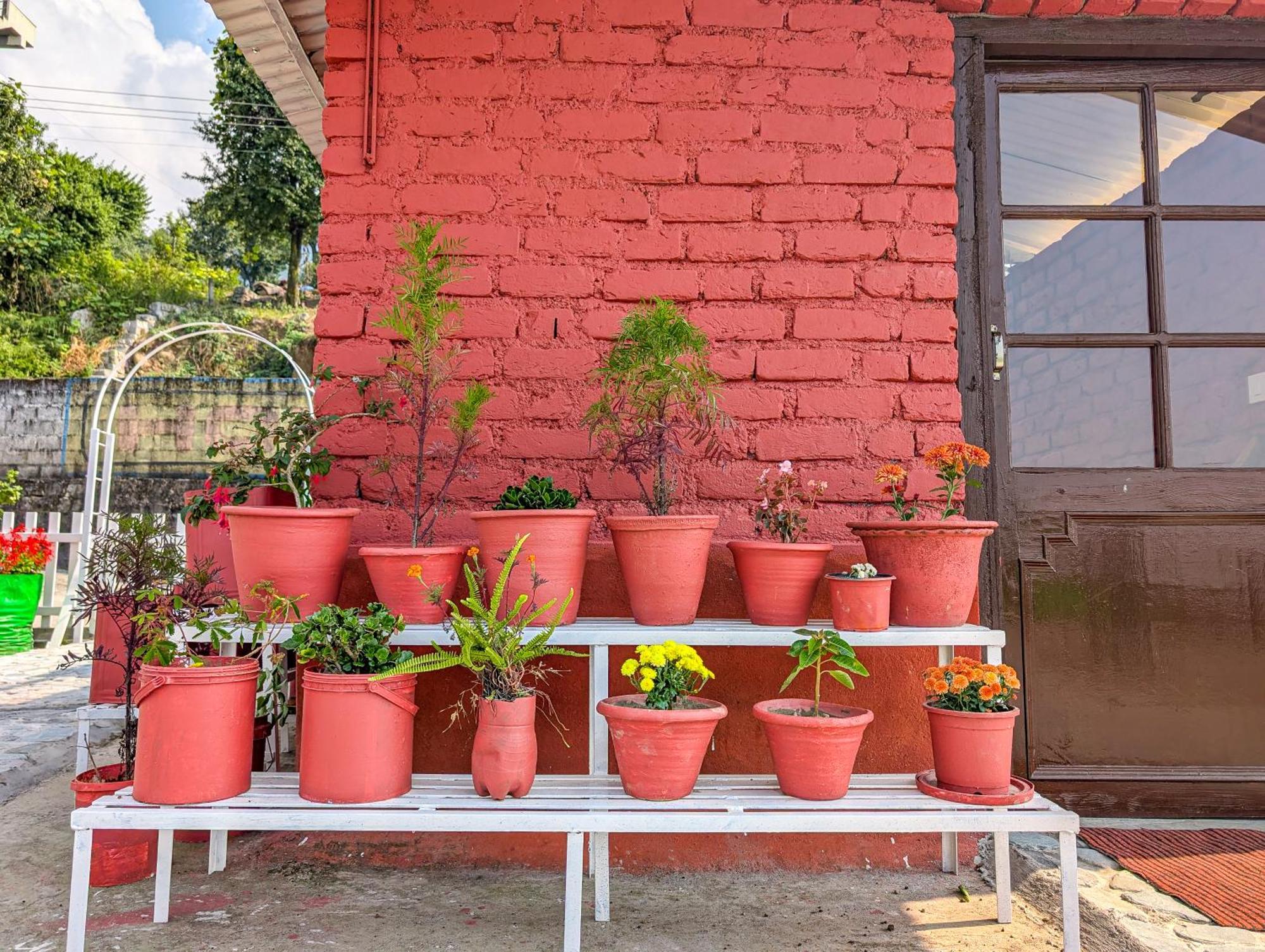 Hobo Hostel Dharamshala Eksteriør billede