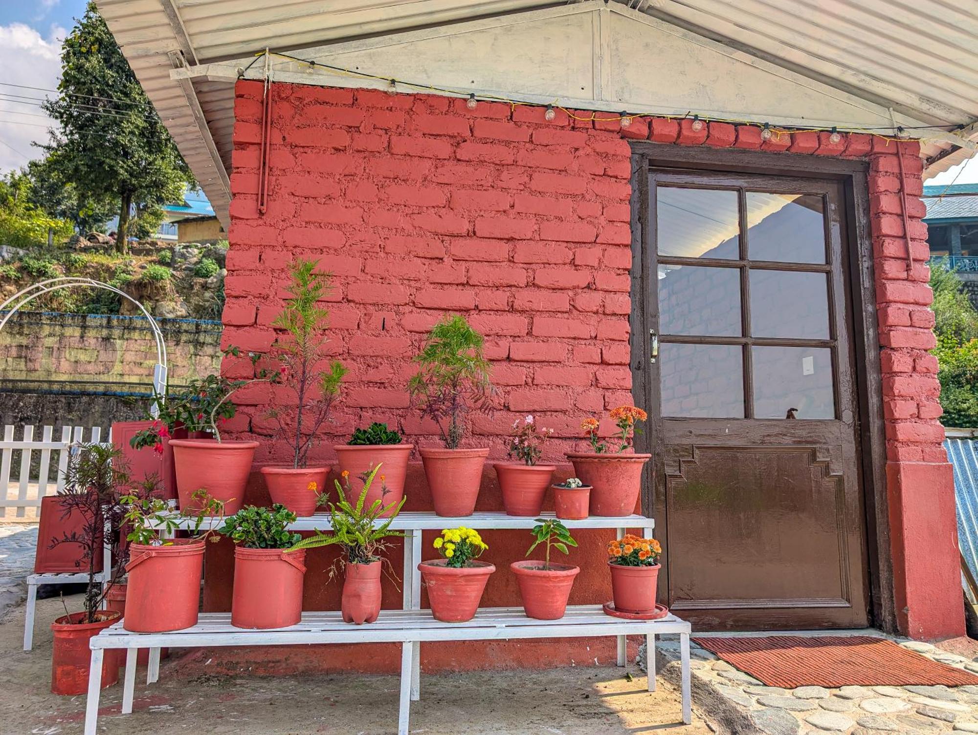 Hobo Hostel Dharamshala Eksteriør billede